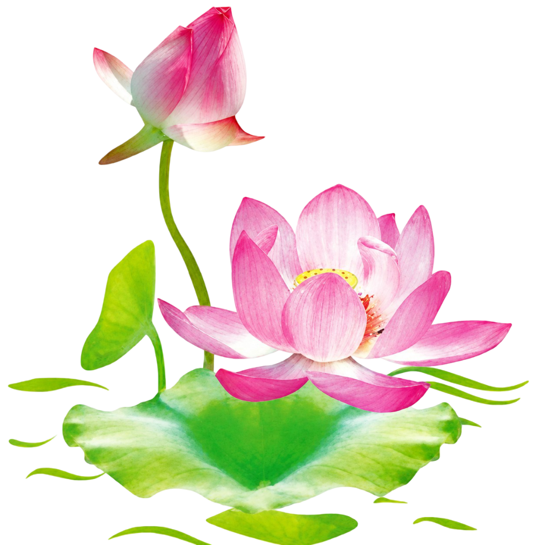 Logo My Sen